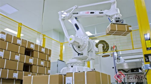 云南生物醫(yī)藥產(chǎn)業(yè)崛起 從血液制品到疫苗，本土生物技術(shù)“強(qiáng)身健體”新篇章